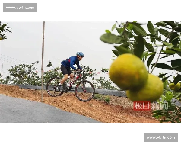 橘海狂飙！当阳万亩橘园上演全国车手竞速赛